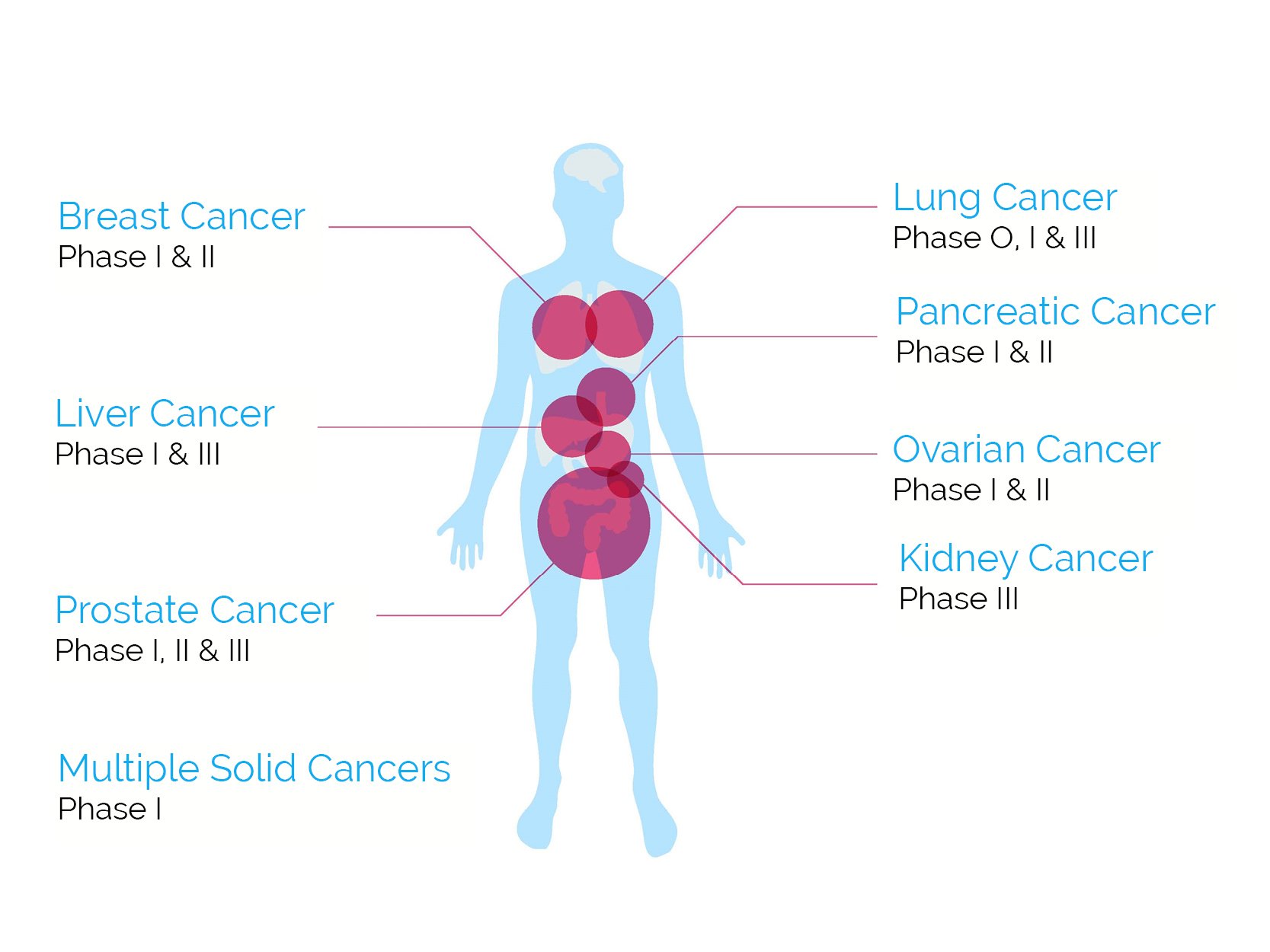 Clinical Trials